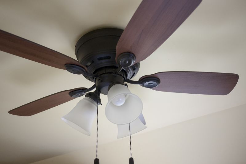 Type of Fan